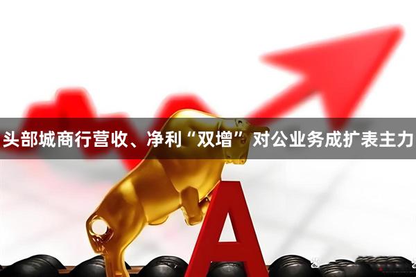 头部城商行营收、净利“双增” 对公业务成扩表主力